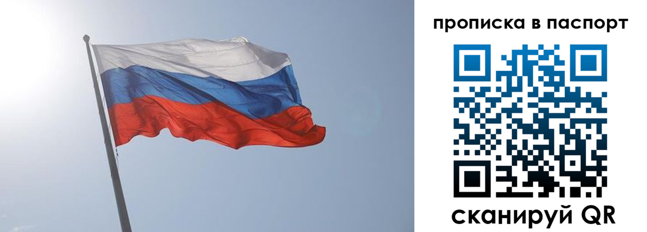 прописка для школы в Светлом